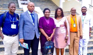 Former UI VC, Prof. Olayinka, Urges Nigerian Varsities to Prioritise Research for Economic Growth, Not Just Knowledge