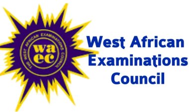 2026 WAEC Certificate Released! Check the Easy Steps to Download Yours