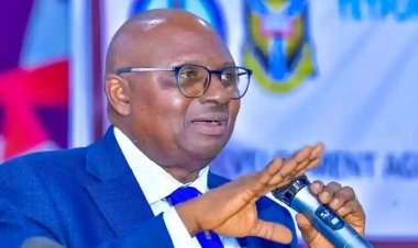 UI Vice-Chancellor, Experts Advocate Cautious Implementation of State Policing in Nigeria