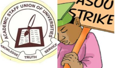 Degrees on Hold: Nigeria Cannot Survive Another ASUU Shutdown