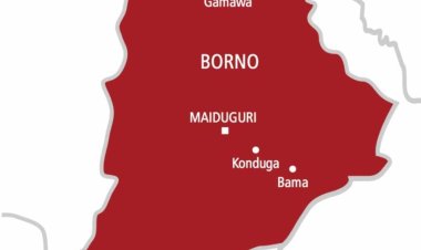 Borno School Attack Sparks Outrage After 42 Children Are Reportedly Abducted
