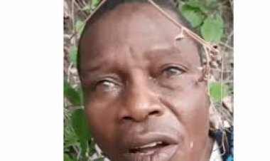 Tragedy in Oyo: Abducted Teacher Beheaded by Bandits Amid Rescue Efforts