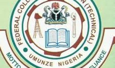 New Era Begins at FCE (Technical) Umunze as Dr. Virginia Ejezie Takes Over Leadership