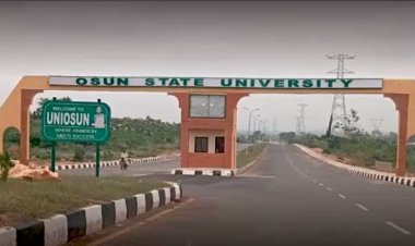 A Big Win for UNIOSUN: All 29 Programmes Earn Full NUC Accreditation