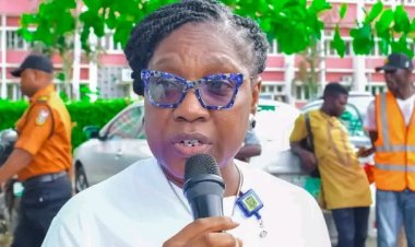 University of Ibadan DVC Calls for Open Dialogue on Mental Health, Urges End to Silence Around Trauma
