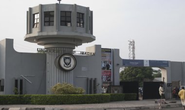 University of Ibadan Promotes 34 Academics to Professorial Cadre, Elevates Two Librarians