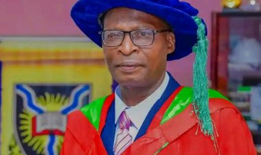UI Professor Azeez Advocates Multi-Stakeholder Approach to Save Nigeria's Forests