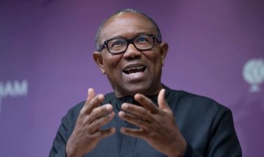 Peter Obi Speaks on How Child Welfare Is Important For National Development