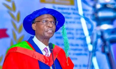 UI Don Advocates Multi-Stakeholder Approach to Saving Nigeria’s Vanishing Forests