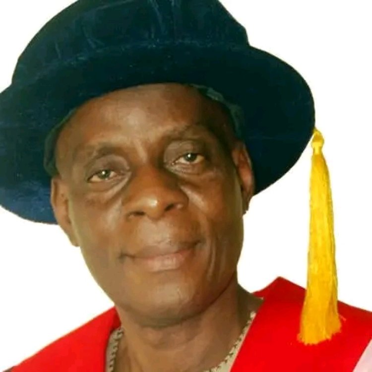 Meet Prof. Yomi Daramola, OAU Pioneer First-Class Music Graduate, Rises to DVC