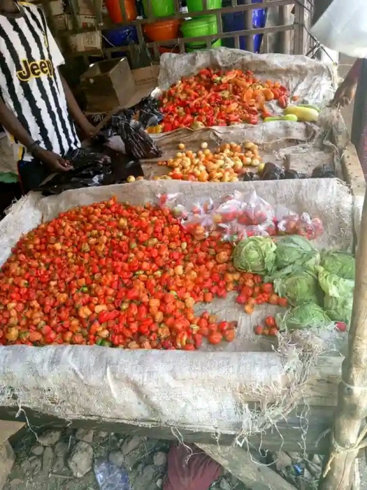 UDUS Students Turn Yaji, Kuli-Kuli into Pepper Substitutes as Prices Soar