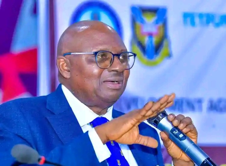 UI Vice-Chancellor, Experts Advocate Cautious Implementation of State Policing in Nigeria