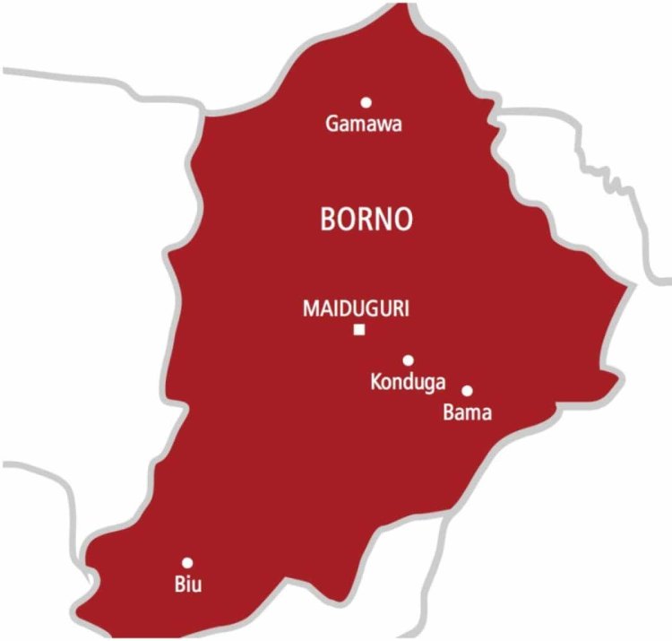 Borno School Attack Sparks Outrage After 42 Children Are Reportedly Abducted