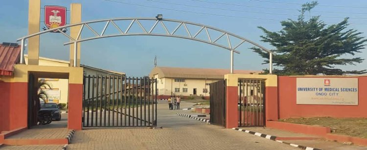 Step Into Medicine: UNIMED Opens Inter-University Transfer Applications for 2026/2027