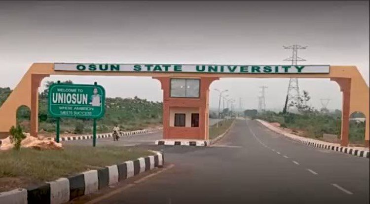 A Big Win for UNIOSUN: All 29 Programmes Earn Full NUC Accreditation