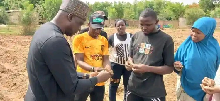 FUAMB Vice-Chancellor Leads Cultivation of Ginger, Turmeric, and Maradona F1 Papaya to Drive Agricultural Growth