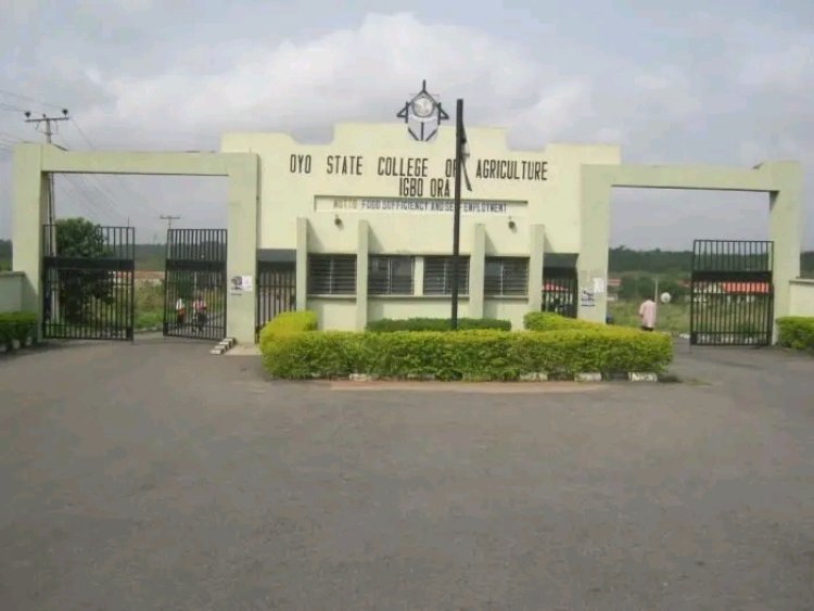 Oyo State College of Agriculture and Technology Announces 2026/2027 Post-UTME and HND Admission Exercise