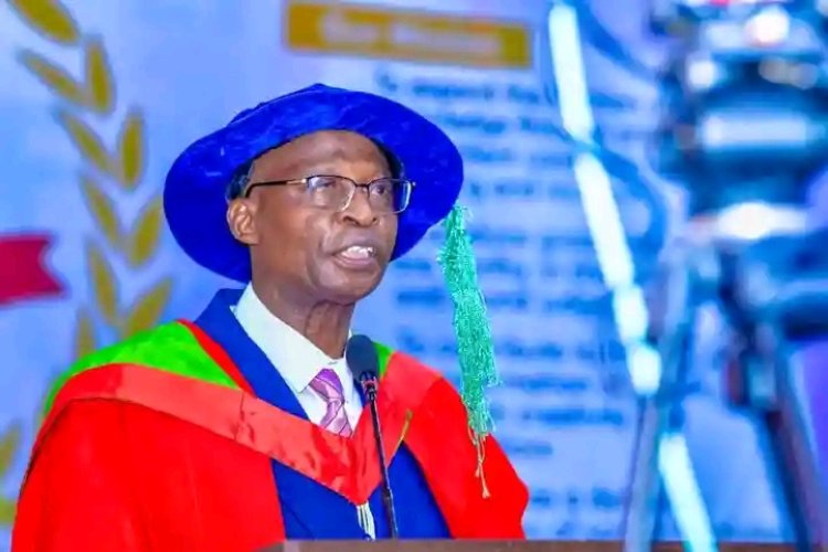 UI Don Advocates Multi-Stakeholder Approach to Saving Nigeria’s Vanishing Forests