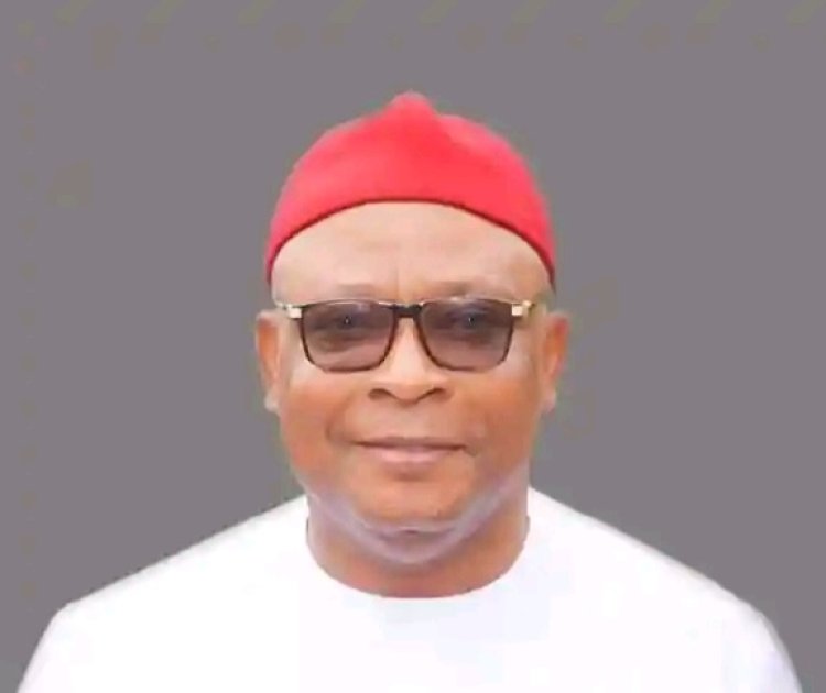 ESUT Vice-Chancellor, Prof. Aloysius-Michaels Okolie, Wins 2026 'Pillar of Education in Nigeria' Award