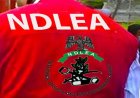 Education District VI Strengthens NDLEA Collaboration to Promote Drug Free Schools