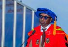 UI Don Advocates Production Subcontracting as Key Driver of Regional Development in Nigeria