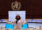 UNIZIK Associate Professor Represents Nigeria at WHO/TDR Governing Board Meeting in Geneva