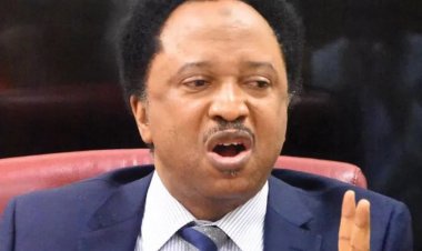Senator Shehu Sani Seeks Sanctions on Schools Charging Excessive Graduation Fees