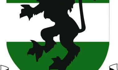 University of Nigeria Criminology and Security Studies Research Team Wins 2025 Affilia Praxis Award