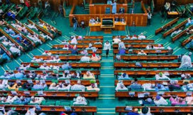 House of Reps Orders Reinstatement, Salary Payment for Dismissed University of Calabar Workers
