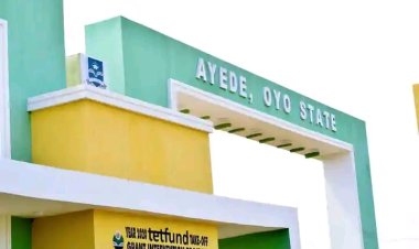 Federal Polytechnic Ayede Council Appoints Acting Rector and Substantive Principal Officers