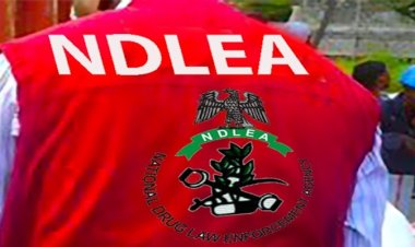 Education District VI Strengthens NDLEA Collaboration to Promote Drug Free Schools