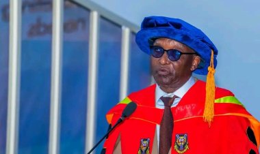 UI Don Advocates Production Subcontracting as Key Driver of Regional Development in Nigeria