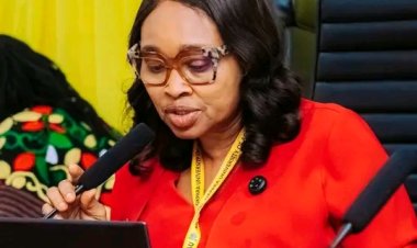 MOUAU Vice-Chancellor Allocates ₦20 Million, 16 Hectares to Boost Cassava Production and Food Security Drive