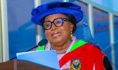 Educational Evaluation Crucial for Sustainable Development, Says Retiring UI Don