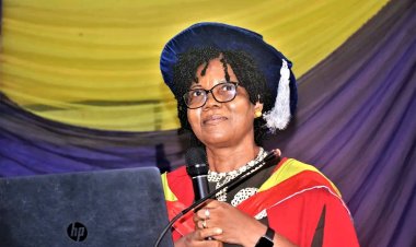 FUTMinna 127th Inaugural Lecture: Prof. Oyedum Advocates for Advanced Library Websites to Drive Digital Information Access