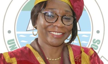 UNILAG VC Prof. Folasade Ogunsola Calls for Improved Security and Better Conditions for Nigerian Health Workers
