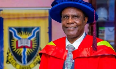 UI Professor Advocates One Health Strategy to Tackle Rising Threat of Parasitic Diseases