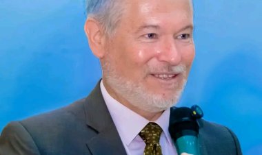 EU Ambassador Advocates International Cooperation to Tackle Global Challenges at UI Lecture