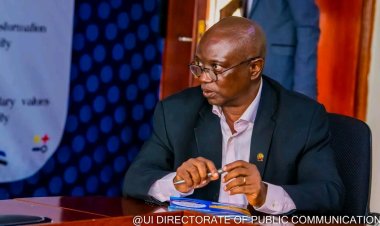 “Change the Narrative of Geological Sciences in Africa,” UI VC urges African Geologists