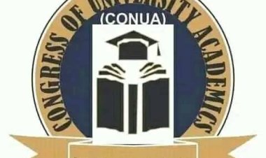 CONUA Seeks Recognition in FG Agreement, Calls for Better University Funding