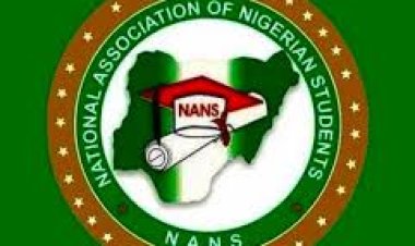 FG, NANS Strengthen Collaboration on Welfare and Protection of Overseas Students