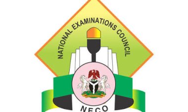 Security Forces Launch Search After NECO Students Abducted in Borno