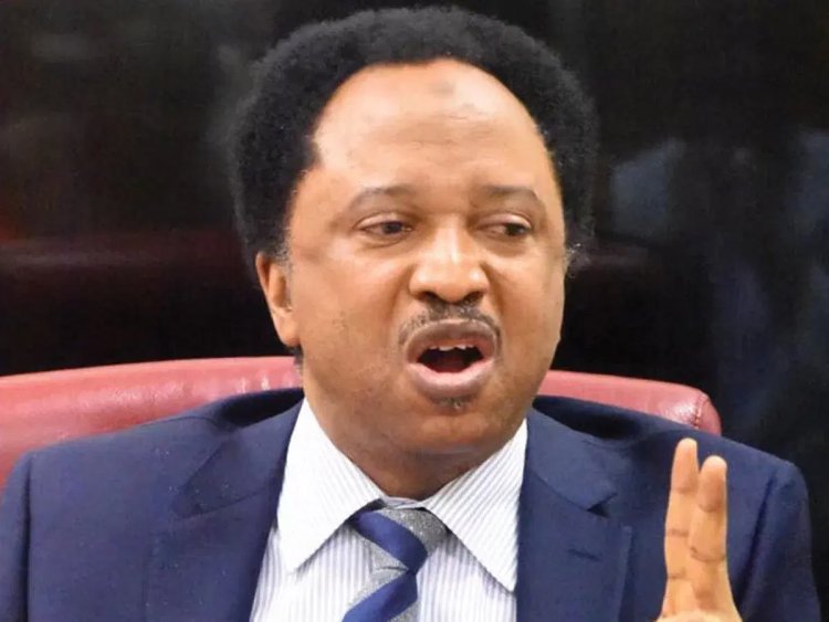 Senator Shehu Sani Seeks Sanctions on Schools Charging Excessive Graduation Fees