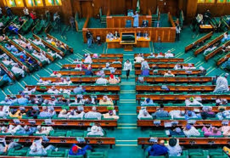 House of Reps Orders Reinstatement, Salary Payment for Dismissed University of Calabar Workers