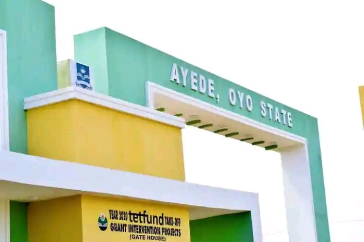 Federal Polytechnic Ayede Council Appoints Acting Rector and Substantive Principal Officers
