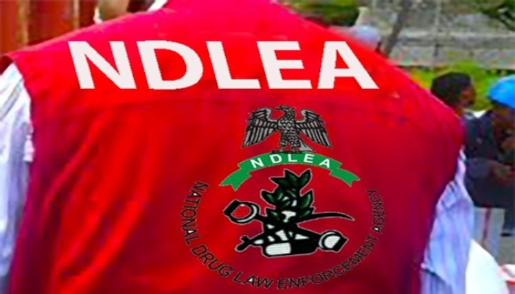 Education District VI Strengthens NDLEA Collaboration to Promote Drug Free Schools