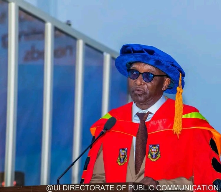UI Don Advocates Production Subcontracting as Key Driver of Regional Development in Nigeria