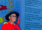 UI Professor Calls for Safer Paediatric Imaging, Stronger Radiation Protection Policies