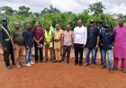 FUHSO Begins Environmental Assessment for Proposed 2MW Solar Power Plant