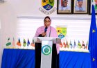 Nsuk Hosts 9th Imga-Nigeria, 1st African Regional Conference On Medical Geology